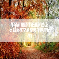 怀孕尿是酸性还是碱性(怎么知道怀孕的是男孩还是女孩)